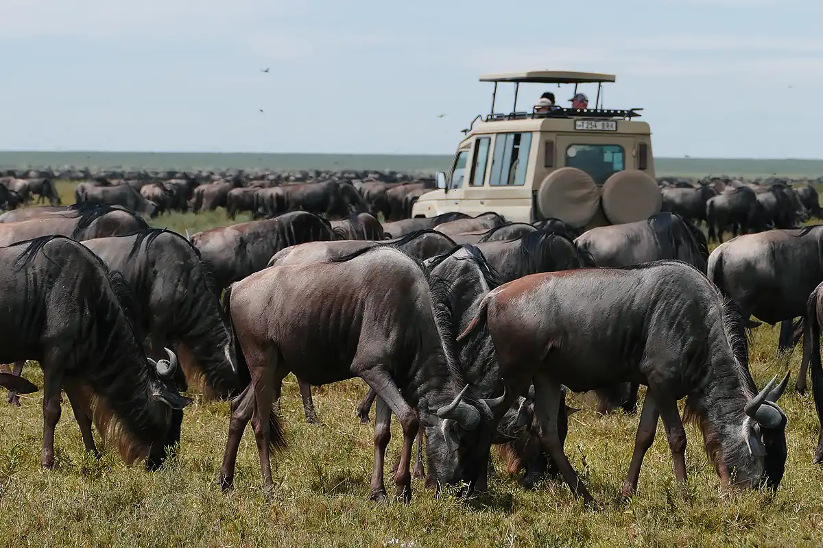 Serengeti National Park