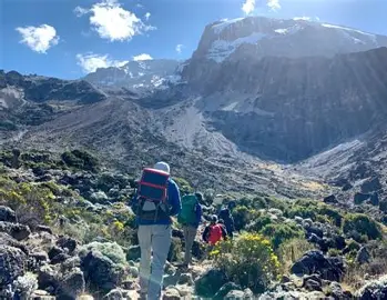 7 Days Lemosho Route Kilimanjaro Climbing 7 Days Lemosho Route Kilimanjaro Climbing Lion View Tours