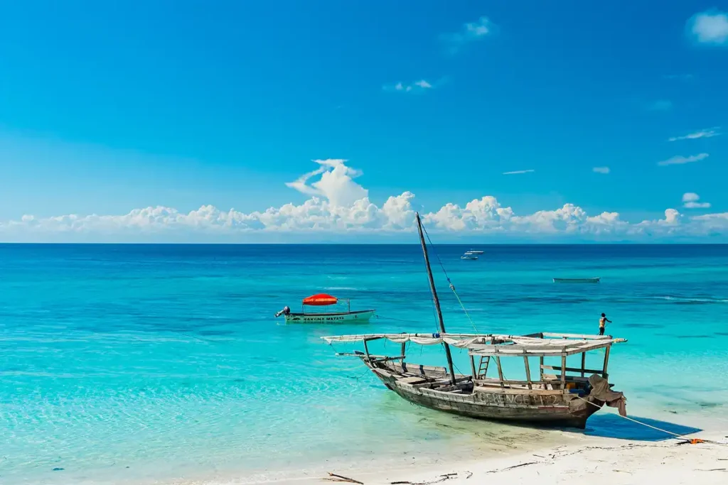 15 Tanzania Safari & Zanzibar