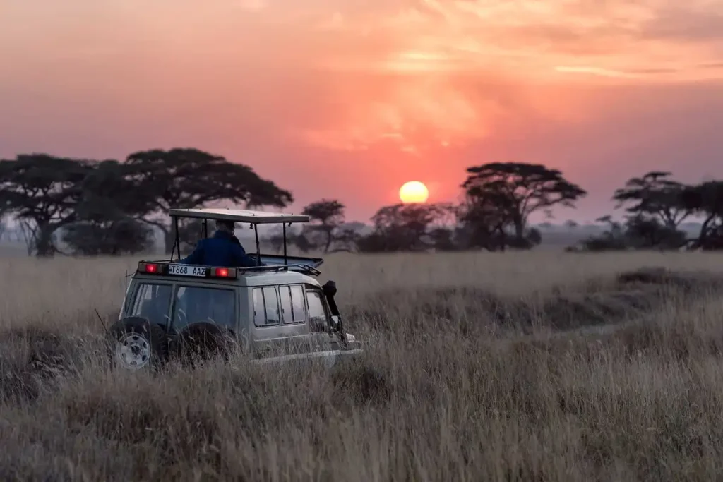 5-Day African Safari Tour Wilderness Adventure 5-Day African Safari Tour Wilderness Adventure