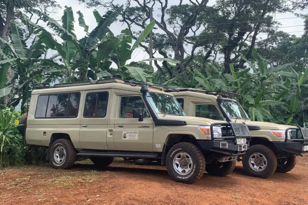 7 Days Group Joining Safari
