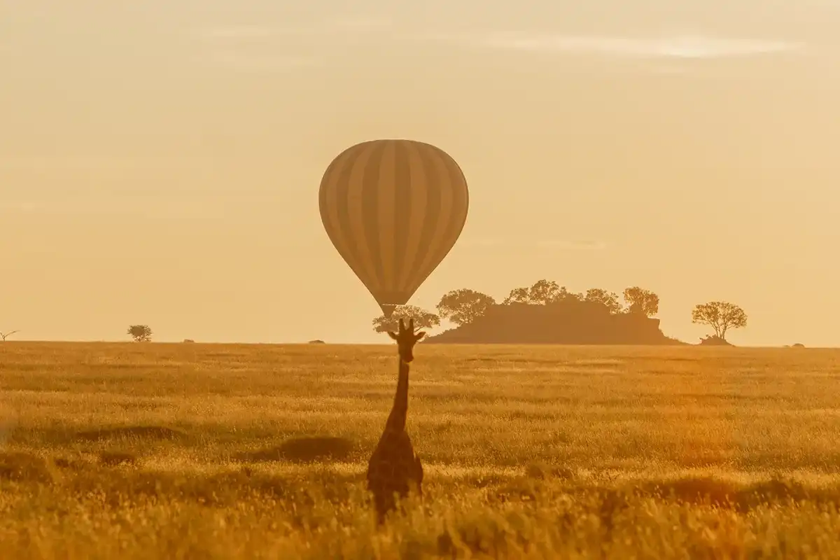 7 Days The Ultimate Balloon Safari