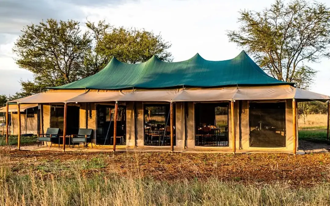 Harmony Camp Safari