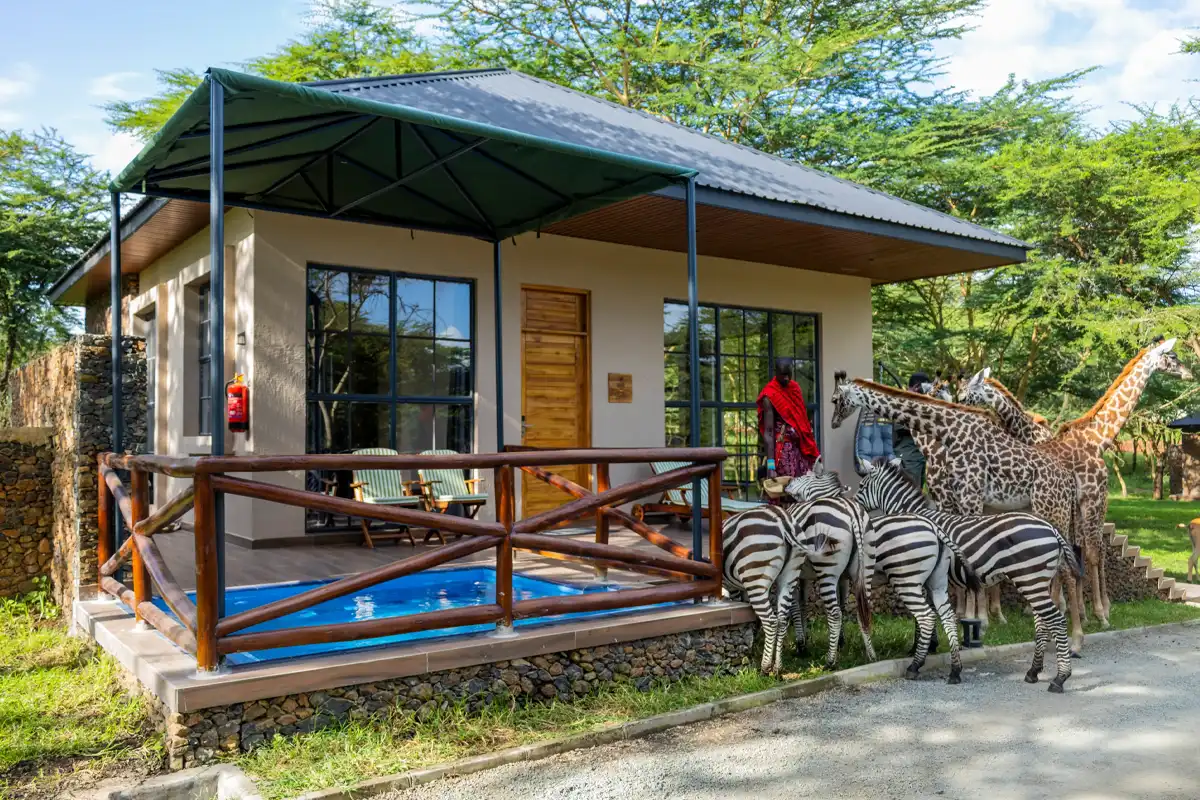 ILBORU SAFARI LODGE