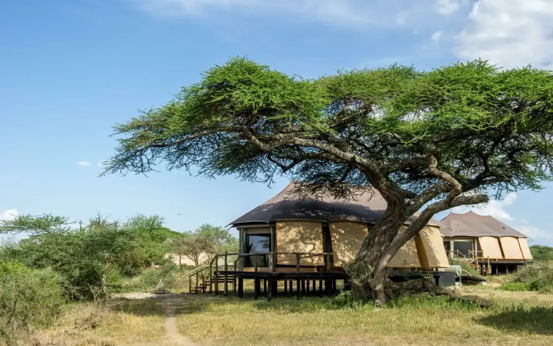 Lake Masek Tented Camp