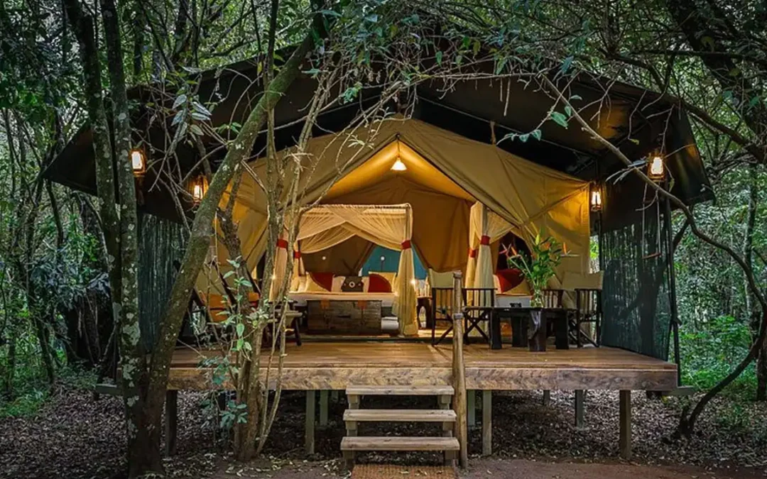 Mara Bush Camp