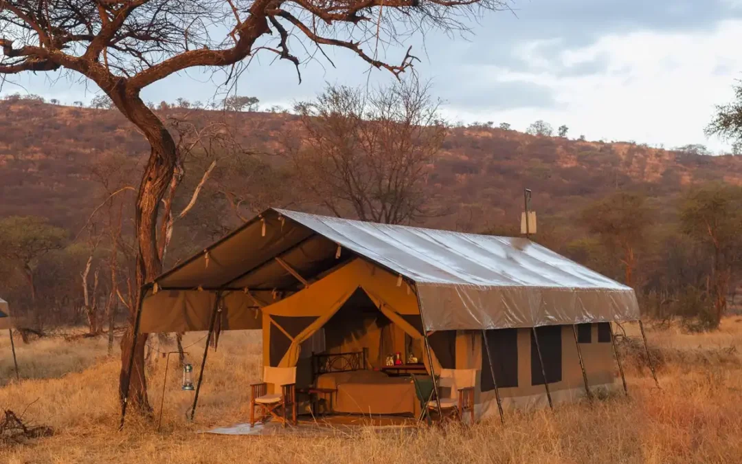 Mara Katikati tented camp