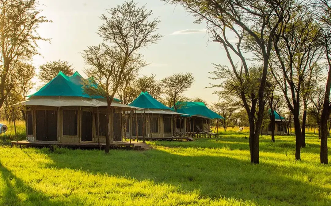Narudi Tented Camp