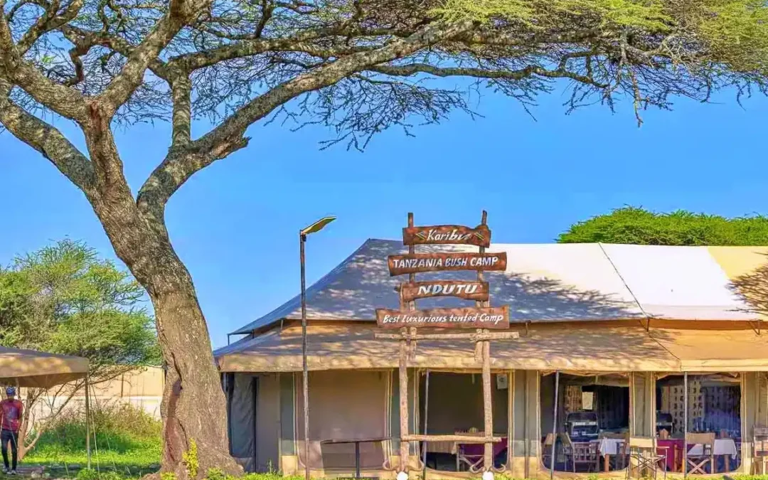 Ndutu Bush Camp