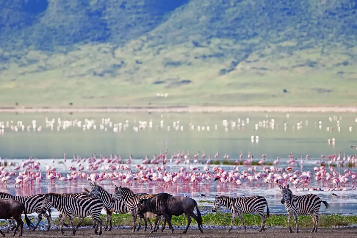 ngorongoro crater