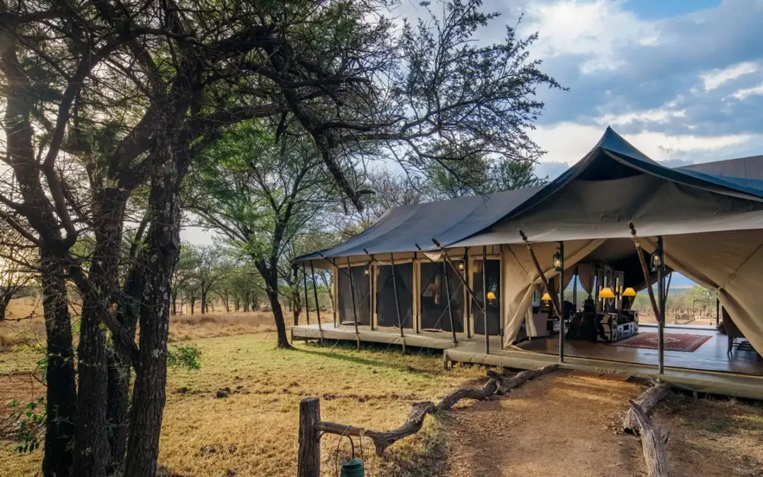 Olea Serengeti Camp