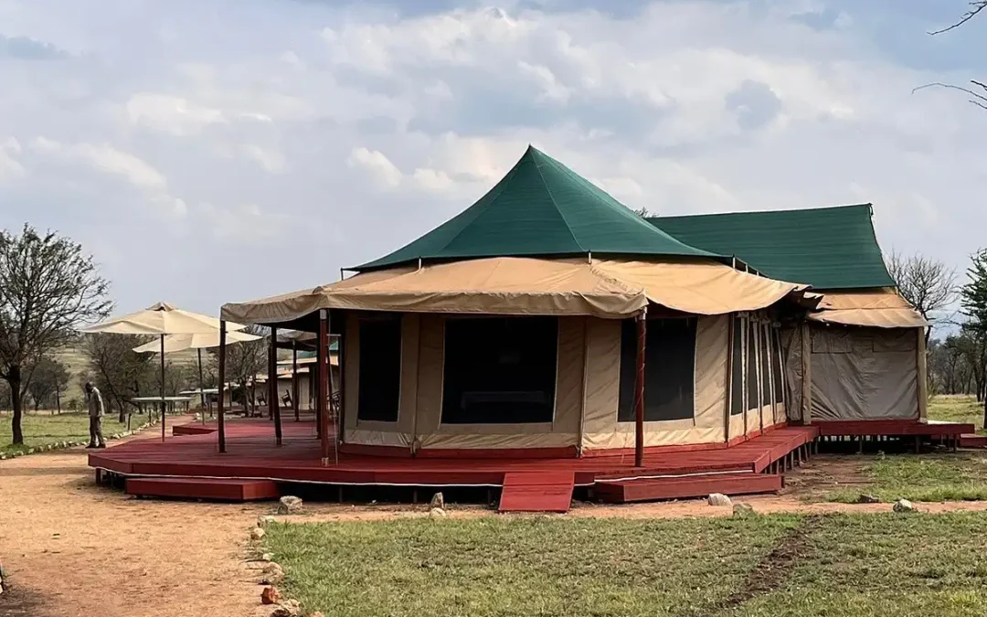 Safari View Luxury Camp
