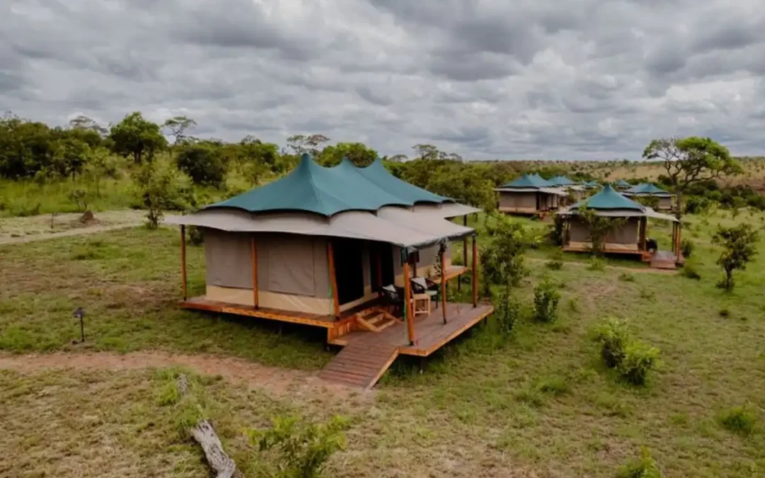 Serengeti Baobab Camp