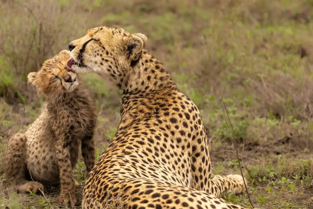 Serengeti National Park