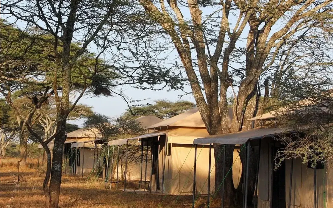 Sero Tented Camp