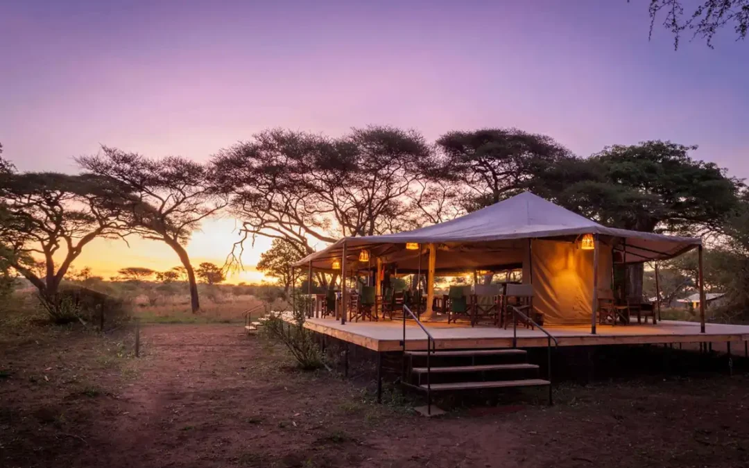 Tarangire Baobab Lodge