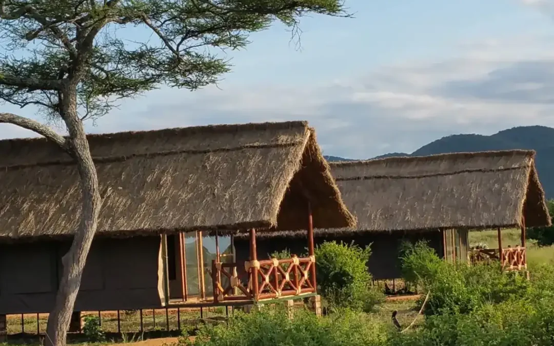 Tarangire Simba Lodge
