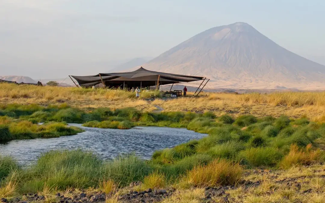 Lake Natron Tented Camp